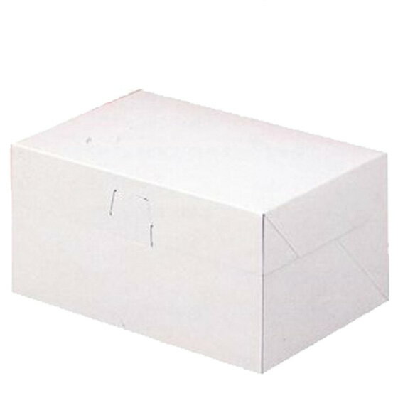 ロックボックス105 長方形 6号 120×180×105mm 50枚(常温) 業務用