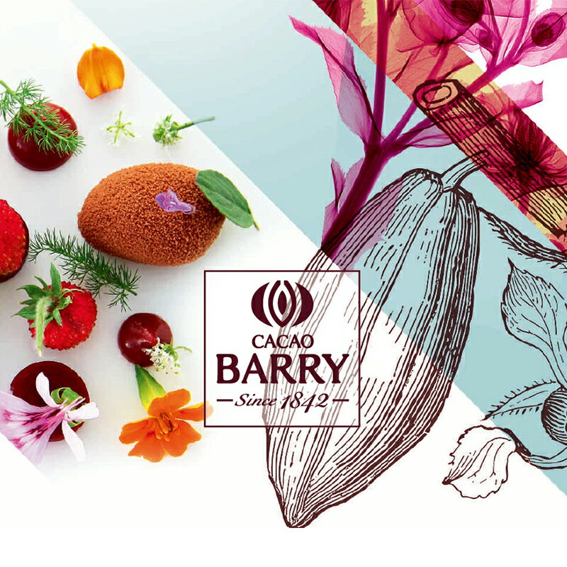 Cacao Barry (カカオバリー) バトンショコラ チョコバー 44% 500本(夏季冷蔵) 手作りバレンタイン