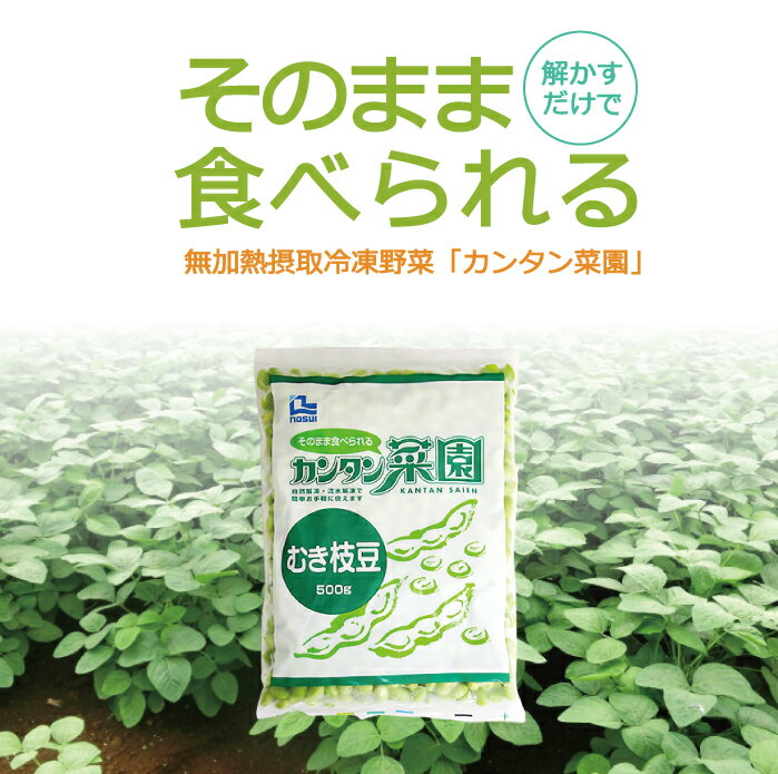 ノースイ 簡単菜園 むき枝豆 500g(冷凍) 業務用