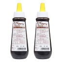 【お得な2個セット】森永乳業 トッピングソース チョコ 520g×2個 (常温) 業務用