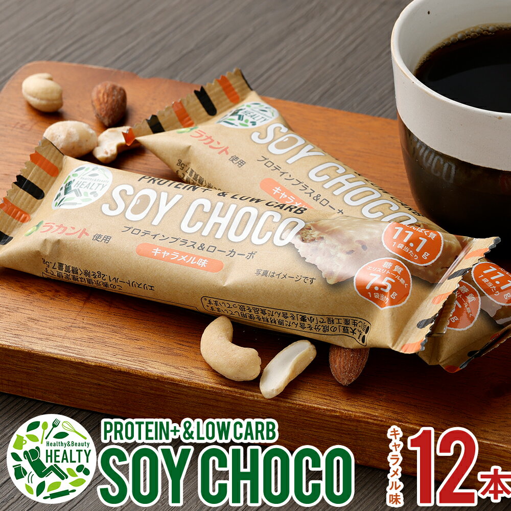 PROTEIN+＆LOW CARB SOY CHOCO 12本セット キ