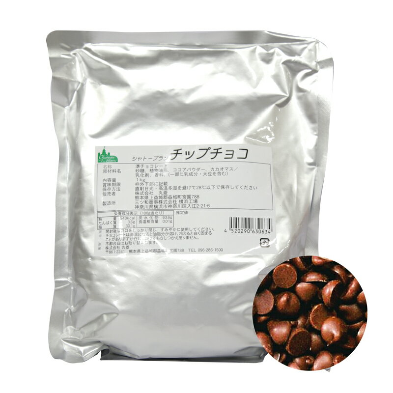 PB 丸菱 森永 製菓用チョコ チップチョコ 1kg 夏季冷蔵 業務用