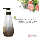 エスハートエス Sasso Pro Care シャンプー 400mL シャンプー お風呂 頭皮ケア 艶髪 サラサラ 天然由来 保湿成分 6つの無添加処方