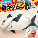 立体ケーキ 誕生日ケーキ ケーキ おもしろ スイーツ とれたて！新鮮！？本マグロール（山口県柳井産）