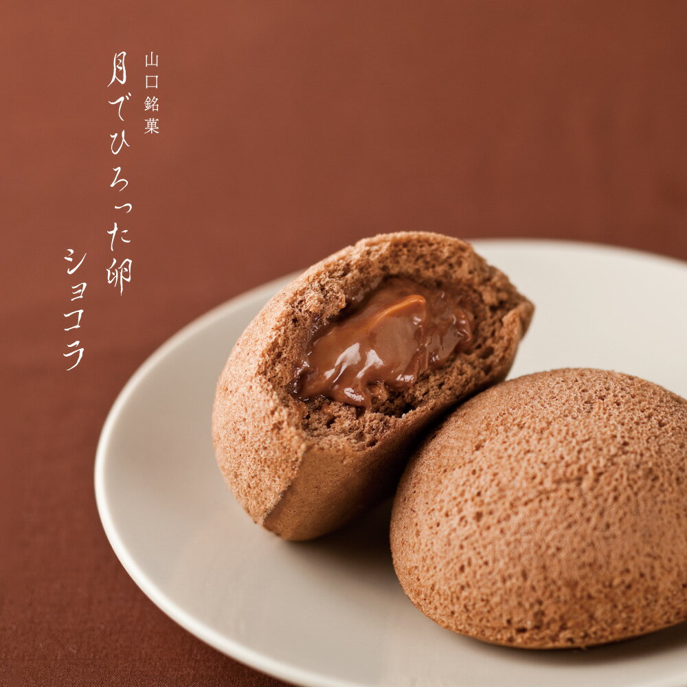 果子乃季 月でひろった卵 ショコラ 1個 お土産 和菓子 山口 つきたま お取り寄せ グルメ 食品 夏季限定 つきたま 月でひろった卵