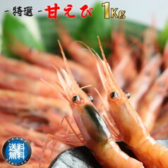 【送料無料】完熟甘えび1Kg（約70～80尾）　獲りたて急速冷凍⇒ぷりぷり食感がたまらない！甘海老/甘エビ　【 母の日 マザーズデー ギフト 】【楽ギフ_のし宛書】【マラソン202403_送料込み】【あす楽_土曜営業】