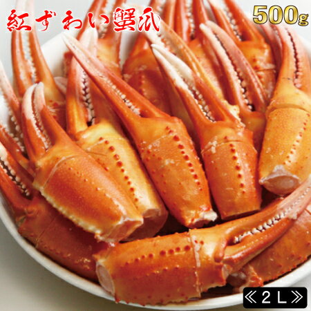 稚内産 生 紅ズワイ 蟹爪 500g 《2Lサイズ》 リング