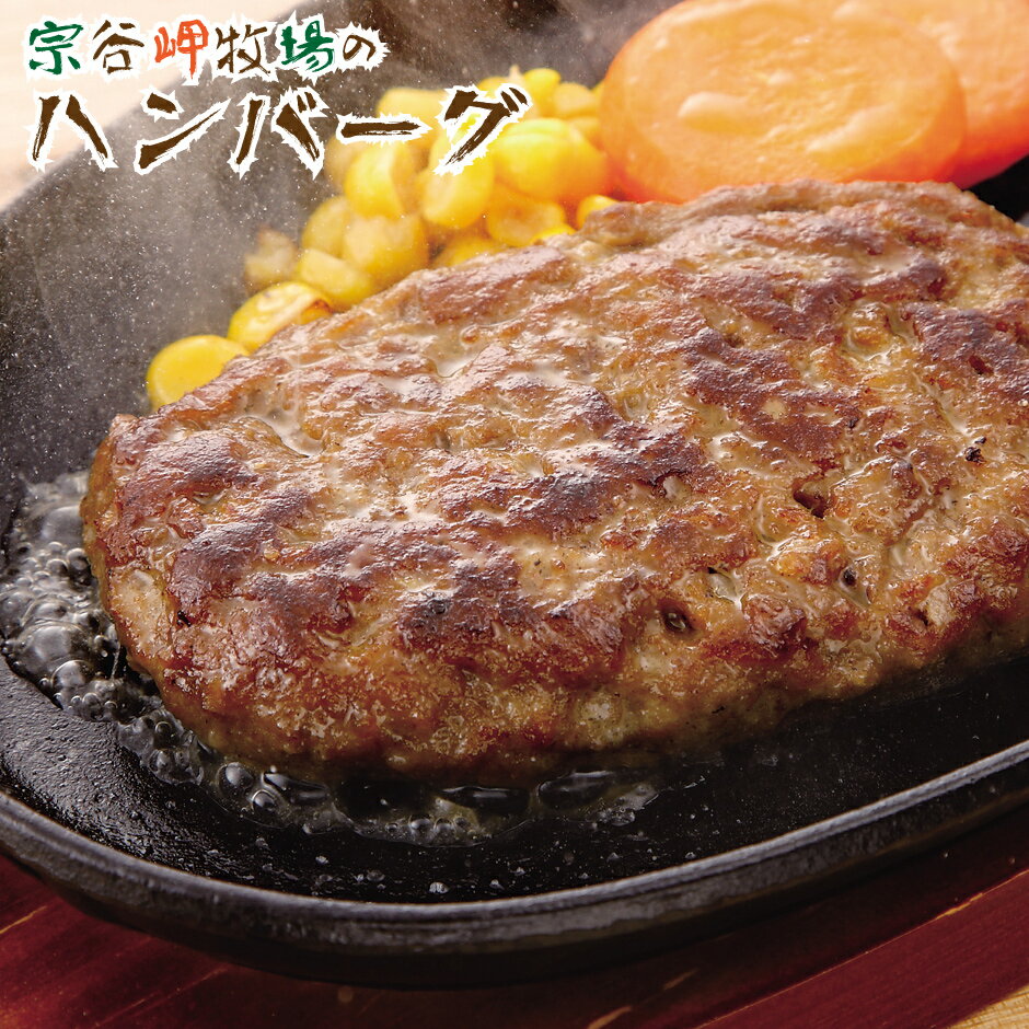 ハンバーグ 母の日向き（予算3000円以内） 6/1限定店内全品20%OFF！宗谷岬牧場 ハンバーグ 4枚入　簡単調理 【 焼肉 焼き肉 BBQ バーベキュー 】 お取り寄せ 産地直送 北海道 宗谷 稚内市 【 母の日 マザーズデー 誕生日 プレゼント 内祝い ギフト グルメ 贈り物 】