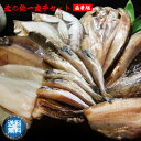  北の魚 一夜干し 豪華 セット ホッケ開き 縞ほっけ 宗八カレイ ニシン開き こまい 鰊 脂 干物 ひもの ヒモノ お魚 真空パック 海鮮 お取り寄せ 居酒屋 北海道 宗谷 稚内市 