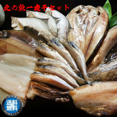 【 送料無料 】 北の魚 一夜干し セ