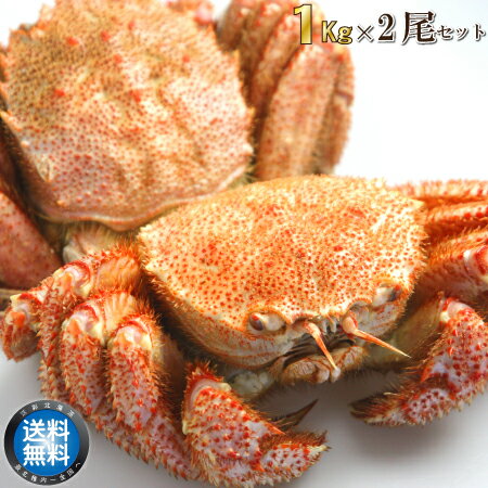 【 送料無料 】 稚内産 毛ガニ 1Kg × 2尾 セット 毛蟹 毛がに かに ボイル済み 浜ゆで 味噌 冷凍 限定 ..