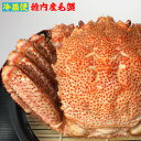 《冷蔵便でお届け！》稚内産「極」毛ガニ800g×1尾　身も味噌もたっぷり！極上の毛蟹が激安！　