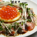 最先端のお刺身「桜ます(刺身燻製)」〜北海道で獲れた新鮮なマ...