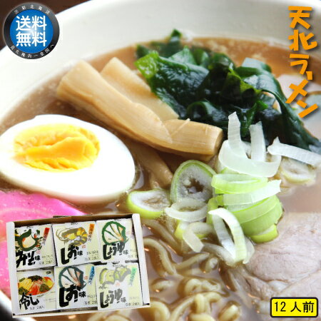 【 送料無料 】 天北ラーメン 12食入