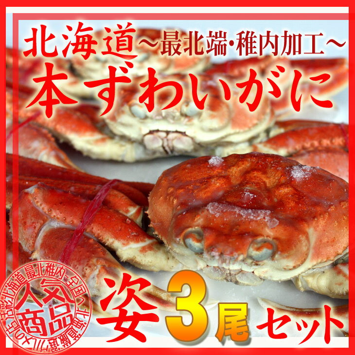 海産物を取り寄せるならやっぱり北海道のおいしい蟹！本ずわい蟹を最北端・稚内より直送！「活彩の匠」蟹厳選！【稚内加工】ズワイガニ姿400g×3尾福袋(*^^)v【楽ギフ_のし宛書】【楽ギフ_メッセ入力】【秋の味覚】【お歳暮】