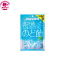 【透き通ったミントのおいしいのど飴　　92g】　ユーハ味覚糖　　ひとつ　おかし　お菓子　おやつ　駄菓子　こども会　イベント　景品