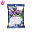 【ブルーベリーマシュマロ　80g×12】　エイワ　　おかし　お菓子　おやつ　駄菓子　こども会　イベント　パーティ　景品 まとめ買い　大人買い　間食