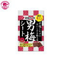 【男梅シート　27g　】　ノーベル ひとつ　おかし　お菓子　おやつ　駄菓子　こども会　イベント　パーティ　景品　間食　スイーツ　つまみ