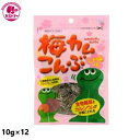 \年末年始大感謝SALE★お得なクーポン配布中/【梅カムこんぶ しそ梅味 10g×12個 】 上田昆布 おかし お菓子 おやつ 駄菓子 こども会 イベント パー...