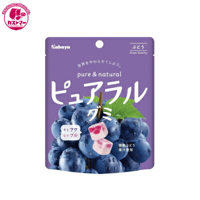 グミ 【ピュアラルグミ ぶどう　58g×8個　】　カバヤ食品　　おかし　お菓子　おやつ　駄菓子　こども会　イベント　パーティ　景品　グミ