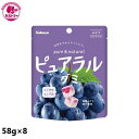 【ピュアラルグミ ぶどう 58g×8個 】 カバヤ食品 おかし お菓子 おやつ 駄菓子 こども会 イベント パーティ 景品 グミ