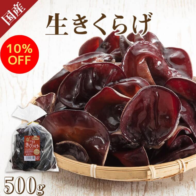 【楽天スーパーセール★10％OFF！】【NHKで放送】 生きくらげ 500g 生キクラゲ 黒 きくらげ 国産 黒きくらげ 黒キクラゲ 生 キクラゲ 木耳 きのこ あらげきくらげ アラゲキクラゲ 生木耳 中華料理 中華食材 食材 美味しい おいしい 美味しい物 食べ物 具材のサムネイル