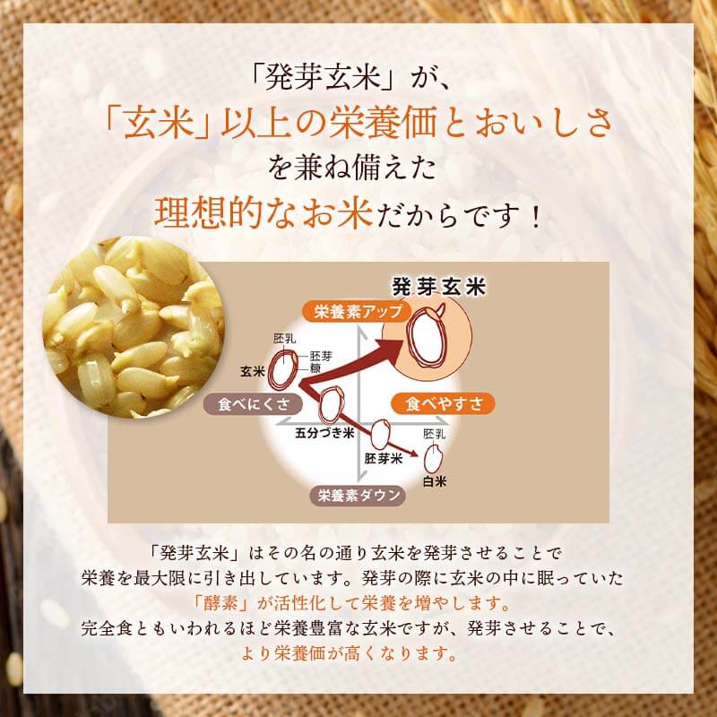 【お試し1,000円ぽっきり】<ポスト投函>玄米を3日寝かせた発芽酵素玄米ごはん2食と+GABA1食セット【発芽玄米酵素玄米発酵玄米寝かせ玄米玄米ごはん玄米玄米ご飯GABAお試しおいしい玄米美味しい玄米レトルトご飯残留農薬ゼロ送料無料】