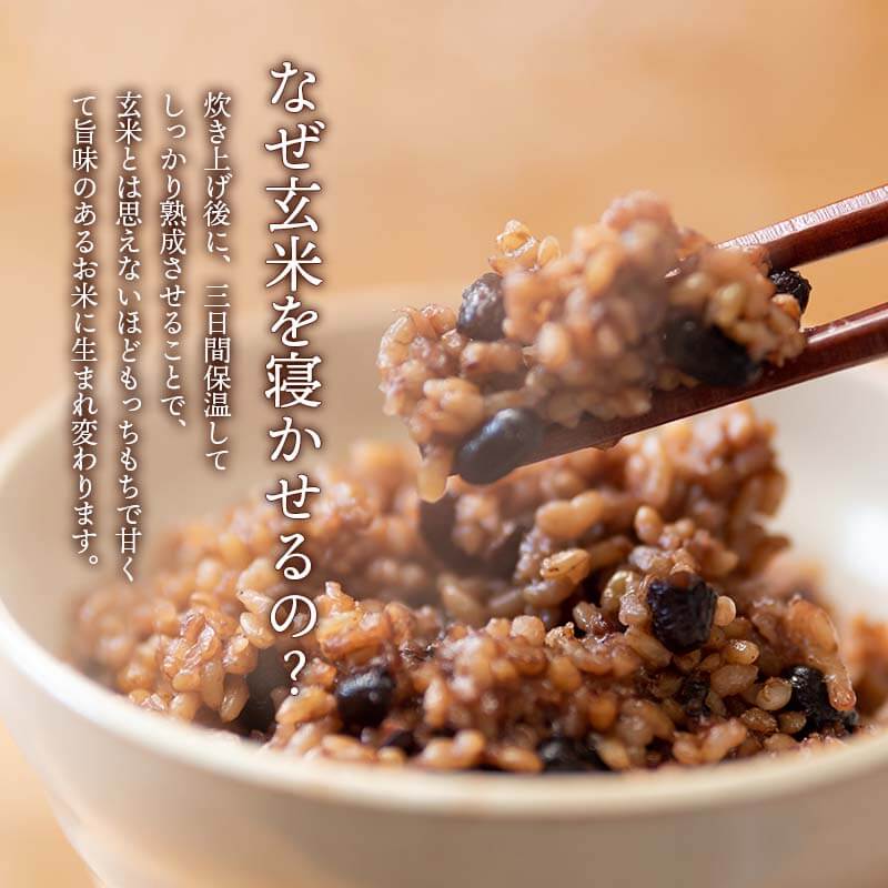 【お試し1,000円ぽっきり】<ポスト投函>玄米を3日寝かせた発芽酵素玄米ごはん2食と+GABA1食セット【発芽玄米酵素玄米発酵玄米寝かせ玄米玄米ごはん玄米玄米ご飯GABAお試しおいしい玄米美味しい玄米レトルトご飯残留農薬ゼロ送料無料】