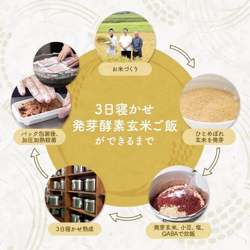 【お試し1,000円ぽっきり】<ポスト投函>玄米を3日寝かせた発芽酵素玄米ごはん2食と+GABA1食セット【発芽玄米酵素玄米発酵玄米寝かせ玄米玄米ごはん玄米玄米ご飯GABAお試しおいしい玄米美味しい玄米レトルトご飯残留農薬ゼロ送料無料】