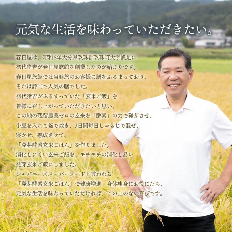 【お試し1,000円ぽっきり】<ポスト投函>玄米を3日寝かせた発芽酵素玄米ごはん2食と+GABA1食セット【発芽玄米酵素玄米発酵玄米寝かせ玄米玄米ごはん玄米玄米ご飯GABAお試しおいしい玄米美味しい玄米レトルトご飯残留農薬ゼロ送料無料】