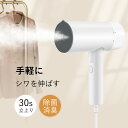 スチームアイロン 折り畳み式 アイロン ハンガースチーマー 大容量蒸気 衣類スチーマー ハンディアイロン ハンドスチーマー シワ伸ばし ダニ対策 過熱保護 小型...