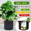 ★マラソン限定セール★不織布プランター 植木鉢 不織布鉢 10ガロン 38L 40×30cm 5枚入り プランター 野菜 植木鉢 軽い 軽量 家庭菜園 ベランダ菜園 不織布ポット 黒 布鉢 プランター 大型 ガーデニング用品 深鉢 布鉢 布植木鉢 鉢植え 栽培袋 不織布ポット