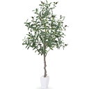 人工観葉植物 フェイクグリーン 「オリーブ 高さ120cm」造花 観葉樹 インテリアグリーン 光触媒 消臭 オフィス ホーム 室内 デコレーション