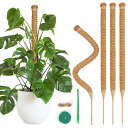 園芸支柱 64cm モンステラ支柱 ココナッツ支柱 観葉植物 つる植物支柱 ガーデニング支柱 維持水分 養分維持 農業用 園芸用 4本セット(2セット)