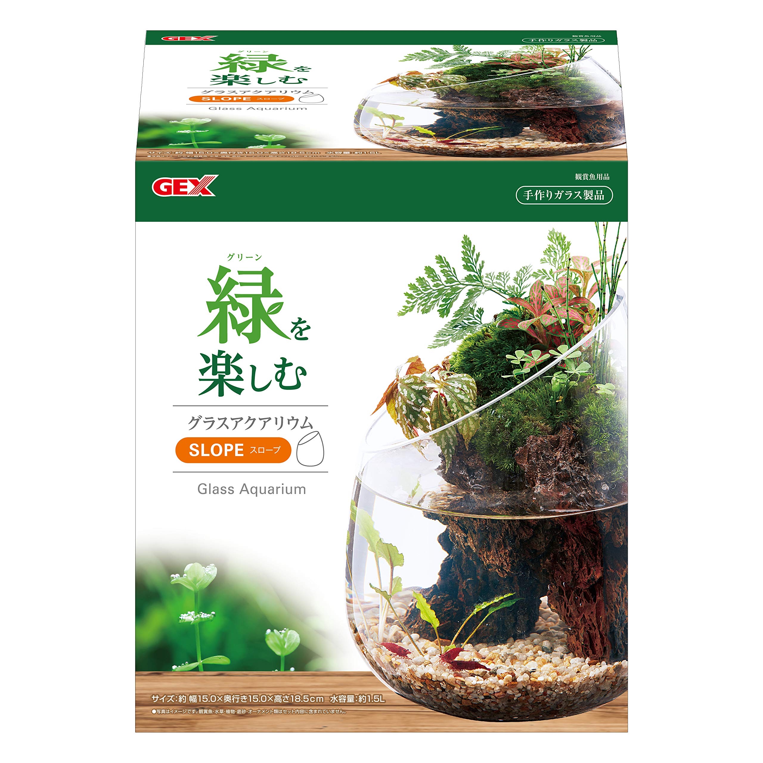 グラスアクア スロープ 水草 多肉植物 コケリウム テラリウム ガラス製 約1.5L