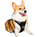 犬 ハーネス 中型犬 超軽量 引っ張り防止 「首が開けます」 簡単着脱 ソフト 犬用胴輪 負担が少ない サイズ調整可 3M夜間反射 抜けない 通気性 咳き込み防止 散歩 しつけ 小型犬 大型犬 柴犬 秋田犬 (ブラック M)