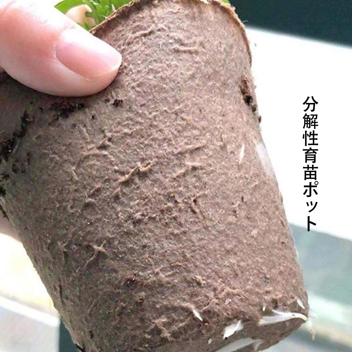 育苗ポット 紙 紙植木鉢 育苗箱 泥炭ポット 分解性 通気孔の設計 種まき 植物栽培 ...