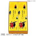 【送料無料】文明堂 カステラ 2A号(1A号2本入) お菓子 ギフト 母の日 銘店ギフト 文