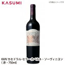 yzKWV JZhEZ[ JxlE\[Bj 2019@ԁE750ml CATHEDRAL CELLAR Cabernet Sawvignon C p yY wine