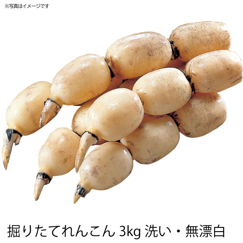 3kg 北海道へのれんこんの配送承りは11/29(日)まで 茨城県土浦市手野町れんこん問屋 榎清 掘りたてれんこん ●やわらかな肉質 ●ほんのりとした甘味 ●肌がきめ細かく 美しく白いのも特長 肥えた土壌と自然条件が、おいしいれんこんを育てる 丸みがあり肉厚でふっくらしている、冬の料理に欠かせない 「れんこん」です。霞ヶ浦とともに長年築き上げてきた確かな技術で、丹精込めて作った蓉純グループのれんこんをぜひ、大切な方への贈りものにどうぞ。 (2p8021032)