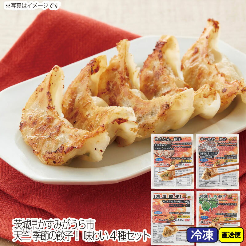 茨城県かすみがうら市 天竺 季節の餃子! 味わい4種セット ギフト グルメ 最適 人気 贅沢 おしゃれ 美味しい ジューシー 肉汁たっぷり 贈り物 プレゼント ...