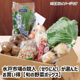 【送料無料】水戸市場の競人（せりにん）が選んだ　お買い得【旬の野菜ボックス】