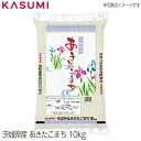 【送料無料】茨城産あきたこまち パールライス 10kg 粒張り 光沢 粘り 香り 甘味 お米 rice kome 白米