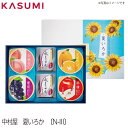 【送料無料】中村屋　夏いろか〔N-III〕菓子 ギフト 銘店ギフト 中村屋 冷涼 冷涼菓子 和菓子 ようかん ゼリー 銘店 ギフト 手土産 いろどり カラフル おしゃれ