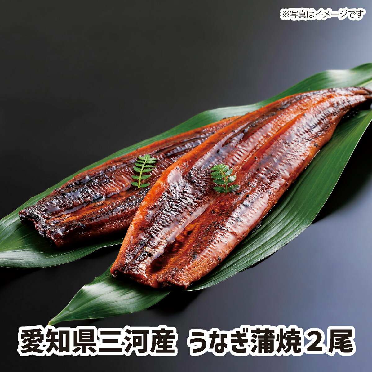 たまりしょうゆベースのたれで焼き上げた愛知県三河産のうなぎ蒲焼です。　