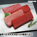 yz掵mۓVR܂ 4Hה  }O tuna maguro Ƒ̒c VNȊC̍K