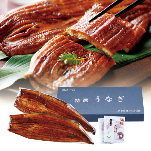 【送料無料】愛知県三河産 うなぎ蒲焼セット 夏ギフト 【送料無料】愛知県三河産 うなぎ蒲焼セット 夏ギフト