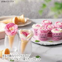 【送料無料】 児玉冷菓のババヘラアイス アイスタッパ & バラ盛り カップセット 敬老の日 かわいいスイーツ スイーツ 人気 贅沢 おしゃれ 美味しい 甘い洋菓子 贈り物 プレゼント お世話になった人 内祝い お礼 手土産 贈答用 両親 祖父母 友人