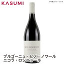 楽天カスミSHOP　楽天市場店【送料無料】ブルゴーニュ ピノ ノワール ニコラ・ロシニョール2017 BOURGOGNE PINOT NOIR2017 NICOLAS ROSSIGNOL　赤・750ml ワイン ご自宅用 手土産 wine