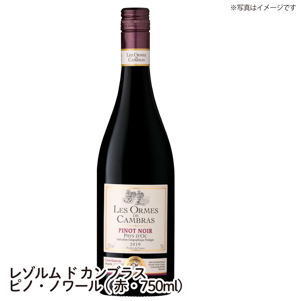 楽天カスミSHOP　楽天市場店【送料無料】レゾルム ド カンブラス ピノ・ノワール LES PRMES DE CAMBRAS PINOT NOIR 2021 赤・750ml フランス ワイン ご自宅用 手土産 wine